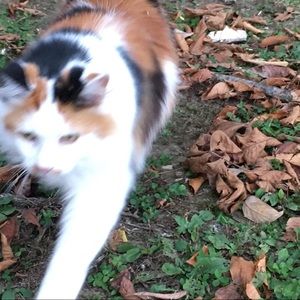 Meet your Posher, Abi